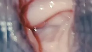 AfricanSuperTeen Live DeepPussy ???? Cumshot