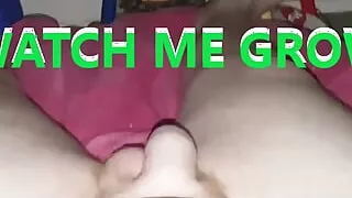 Watch my COCK GROW while i rub the head of my COCK Till i CUM!!
