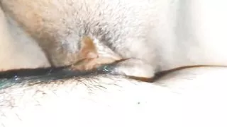 Pregnant women fucking video wife and hasbend