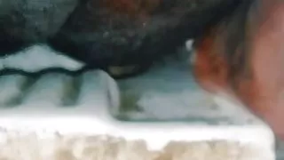 In remembrance of his beloved Bhauji fist and raised L**