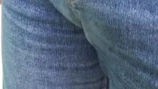 The coachbuilder's wife - part #2