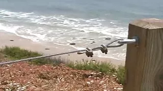 Sexy Pornstar Charlotte Lee Gets Fucked Hard in Bikini