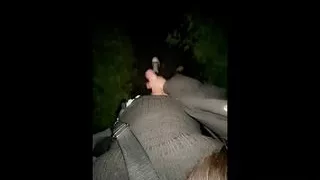 POV : Trans girl cums on a night walk