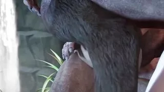 Amelia's Hot Bisexual Anal DP Orgy with 3 Satyrs