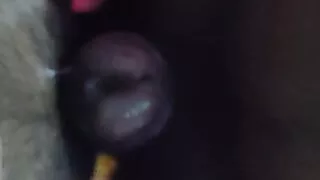 Desi Hard Sexy Bhabhi Sex