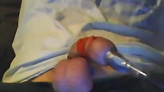 Tail and balls tied with rubber bands and foreskin inflated with air