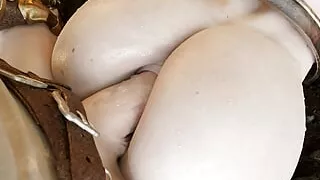 Ryanreos Sexy Girl Gets Fucked by Big Cock Hard Anal Rough Sex Anus Filled with Cum