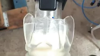 Cock milking F21s 50 LPM Pump L80 Pulsator