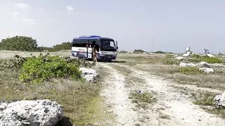 Naked Monika Fox Walking Along Reef Beach Found a Big Octopus Dildo and Fucked Her Holes