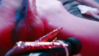 Wild Wolf Is Testing You. Try Not to Cum - Mollyredwolf