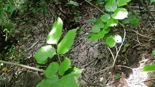 Black Cock Inside My Wife's White Pussy. Elena Really Likes It