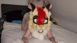 La renarde réclame sa dose de bite