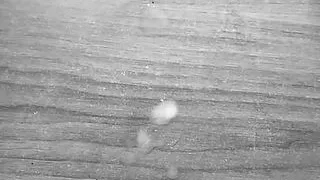 The biggest cumshot you'll see today - slow motion