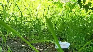 Caught bent over getting fucked like a whore while on a walking trail