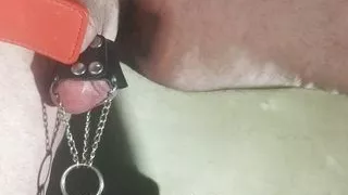 Jarmus enjoying a very painful play time, balls thoroughly beaten.