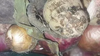 Stepfather fucked by stepmother Family Desi Hot cock in Desi pussy