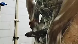 My first washroom penis masterbate