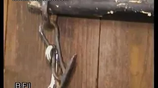 Germany Private Last Week of College.