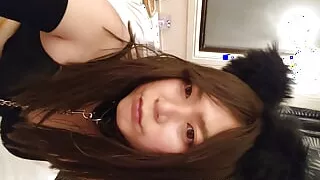 Japanese cd  masturbate costumed sexy cat