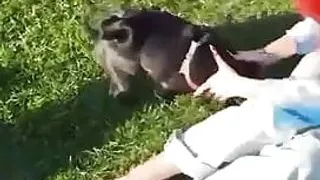 The_Dramma_Queen video