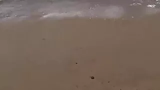 The_Dramma_Queen video