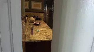 Brünette Milf mit dicken Möpsen hart gevögelt