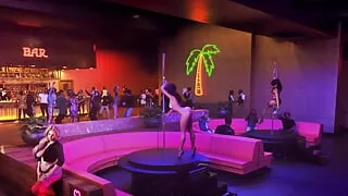 Lust Academy - 43 Strippers