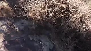 Fucking on a Ledge by the River