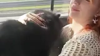 The_Dramma_Queen video