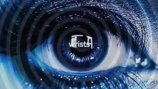 The Nlp Toolbox: No Escape - Final Reprogramming for Absolute Drone Submission