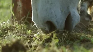 August 2021 Fantasy of the Month - S2:e6