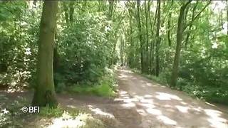 A dirty picnic with granny.