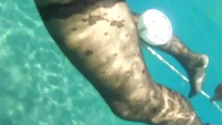 fasihon pantyhose and leotard tease in public sea