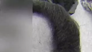 POV, slut sucking dick