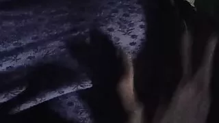 Picked up my younger sister-in-law and left her in the dock, thinking of her as my wife. Your sister-in-law  blawjob hard-core