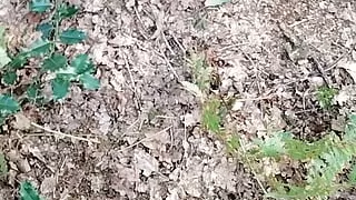 Step brother get final outdoor blowjob