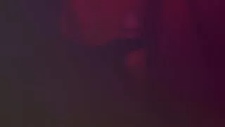 Sex with a Beauty in the Forest