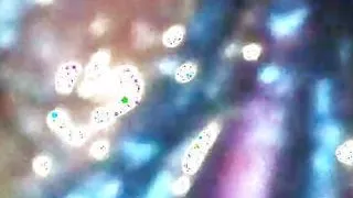 Girl fingering in tha bathroom LoudMark8