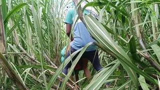 Brother-in-law took sister-in-law to the forest and her a lot