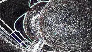 I fucked my step brother soon as his stepmom left