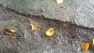 Indian bhabhi full open