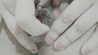 Pussy and peehole fingering