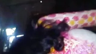 Fucking My Virgin Girlfriend Bengali Girlfriend Fucking Video Indian Girlfriend Boyfriend