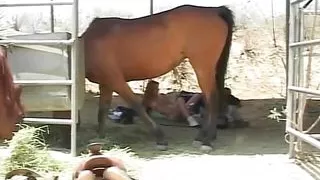 Naughty Teen Girl Geting Fucked Hard