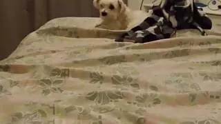 It's Cold but I Need to Fuck Good Hard.