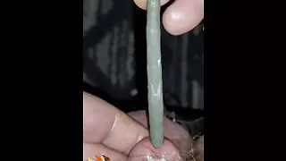 A Working Bear's Tiny Cock Sounded  With Cum