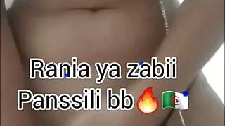 Poilu Chatte Algerianne Thokha Niaaaka Fore