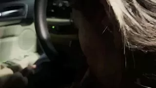 What Do You Say to Having Sex in the Car by the Beach?