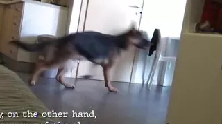 Lina is the queen of blowjobs and great deep throat expert