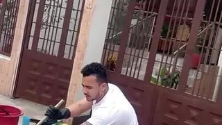 Some one more about latin stud life